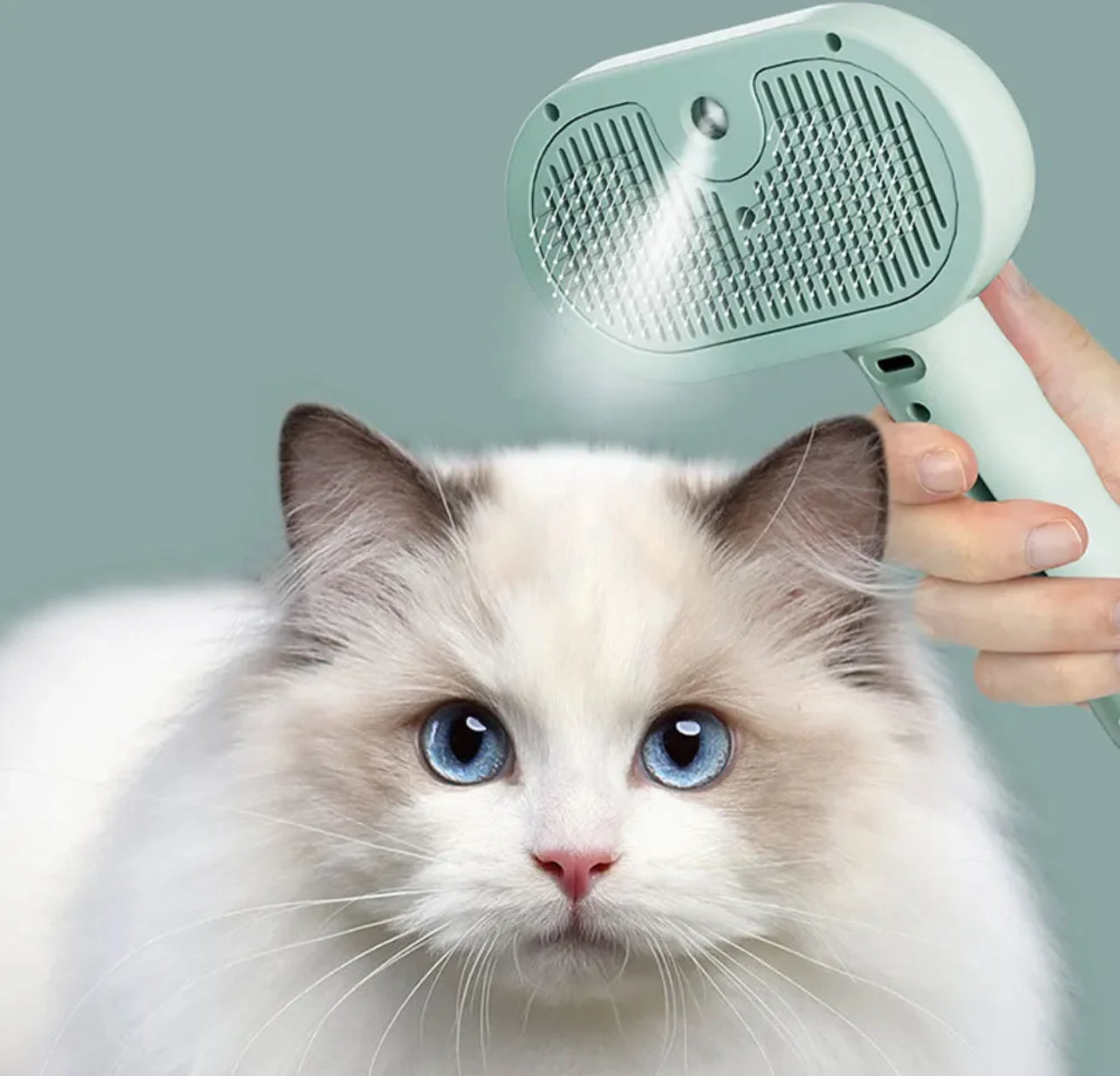 Pets Spray Hair Comb Pet Hair Remover Cleaning Brush Cats Grooming Dog Accessories Tools Dematting Water Mist Humidifier Comb Pet Supplies